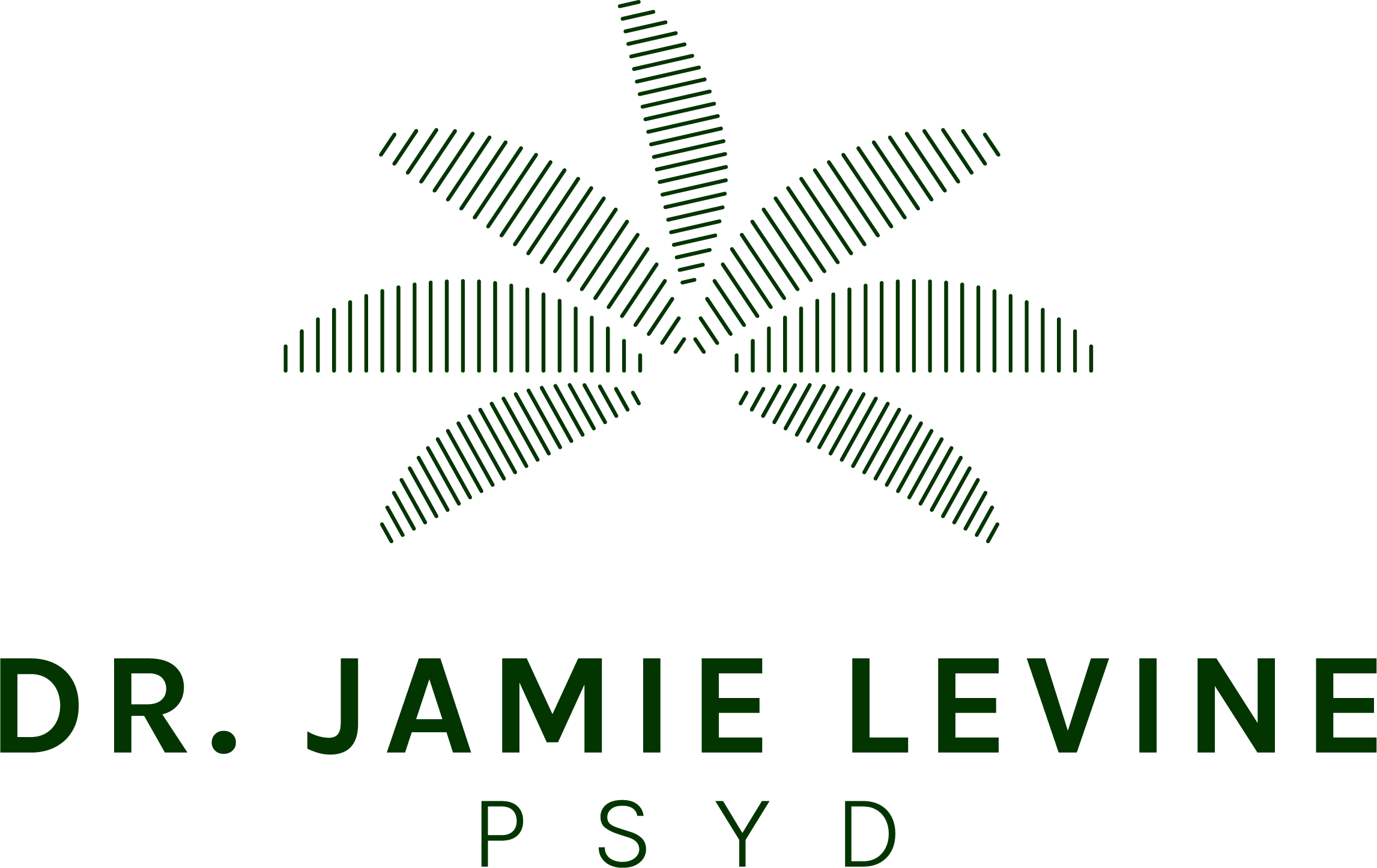 Doctor Jamie Levine